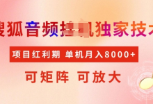 全网首发搜狐音频挂JI独家技术，项目红利期，可矩阵可放大，稳定月入8k-蜗牛学社