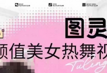 全网首发，原价988图灵殿AI颜值美女热舞视频，云端生图，轻松过原创-蜗牛学社
