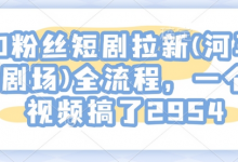 0粉丝短剧拉新(河马剧场)全流程，一个视频搞了2954-蜗牛学社