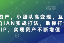 个人IP资产，小团队高变现，互联网全链路赚QIAN实战打法，助你打造个人IP，实现资产不断增值-蜗牛学社