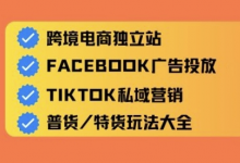 跨境电商独立站及全域流量营销，从0基础快速入门并精通跨境电商运营-蜗牛学社