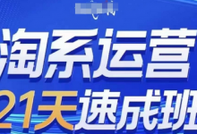 淘系运营21天速成班(更新25年3月)，0基础轻松搞定淘系运营，不做假把式-蜗牛学社
