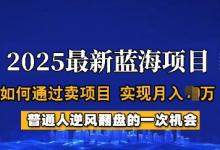 2025蓝海项目，普通人如何通过卖项目，实现月入过W，全过程-蜗牛学社