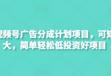 最新视频号广告分成计划项目，可矩阵放大，简单轻松低投资好项目-蜗牛学社