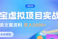 淘宝虚拟项目垂直玩法，新手卖文案资料，月入5k+-蜗牛学社