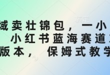 私域卖壮锦包，一小时3张，小红书蓝海赛道3.0版本， 保姆式教学-蜗牛学社