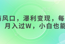 女杏商风口，瀑利变现，每天1小时，月入过W，小白也能做-蜗牛学社