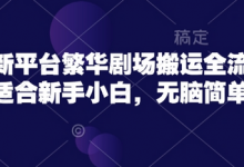 短剧新平台繁华剧场搬运全流程实操，适合新手小白，无脑简单操作-蜗牛学社