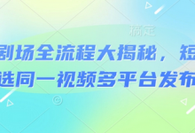 河马剧场全流程大揭秘，短剧爆款精选同一视频多平台发布实操-蜗牛学社