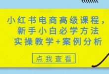 小红书电商高级课程，新手小白必学方法，实操教学+案例分析-蜗牛学社