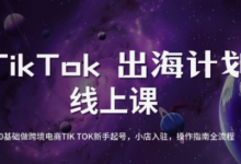 TikTok跨境电商新手起号与运营全攻略，0基础做跨境电商TIKTOK新手起号，小店入驻，操作指南全流程-蜗牛学社