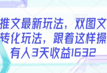 小说推文最新玩法，双图文年轻粉高转化玩法，跟着这样操做，有人3天收益1632-蜗牛学社