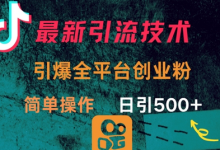 最新引流方法，引爆全平台的一个创业粉，简单操作日引300+-蜗牛学社
