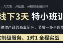 AI实操培训第20-21期线下，0基础保姆级教程，3月最新整理，企业获客、降本增效、打造超级个体-蜗牛学社