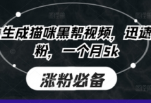 即梦AI生成猫咪黑帮视频，迅速起号涨粉，一个月5k-蜗牛学社