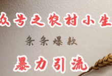 deepseek写农村小项目，条条爆款，暴力引流-蜗牛学社