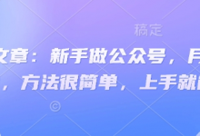 付费文章：新手做公众号，月涨几干粉，方法很简单，上手就能做-蜗牛学社