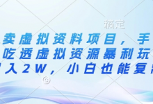 闲鱼卖虚拟资料项目，手把手带你吃透虚拟资源暴利玩法，月入2W，小白也能复制-蜗牛学社