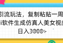 暴力引流玩法，复制粘贴一周1w粉，ai软件生成仿真人美女视频，日入多张-蜗牛学社
