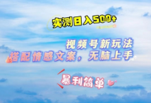 微信视频号最新玩法，表情包搭配情感文案，2分钟一条原创作品，简单好上手，轻松日入几张-蜗牛学社