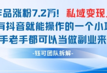 抖音私域项目23条作品涨粉7.2W，私域变现1W-蜗牛学社