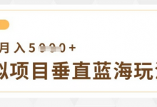 虚拟项目垂直玩法，实现单店月入5k+-蜗牛学社