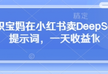 全职宝妈在小红书卖DeepSeek提示词，一天收益1k-蜗牛学社