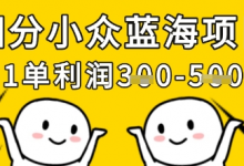 细分小众蓝海项目，一单利润3张，每月收入稳定过1w+-蜗牛学社