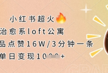 小红书超火的治愈系loft公寓，单条作品点赞16W，3分钟一条，单日变现数张-蜗牛学社