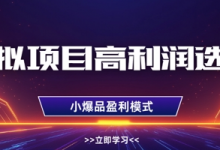 虚拟项目高利润选品方法，做好单店利润1W+，可多店倍增利润-蜗牛学社