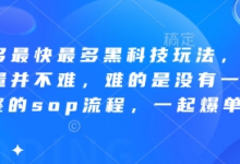 拼多多最快最多黑科技玩法，拼多多起量并不难，难的是没有一套完整的sop流程，一起爆单!-蜗牛学社