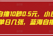 语聊自撸10秒0.5元，小白轻松上手单日几张，蓝海自撸项目-蜗牛学社