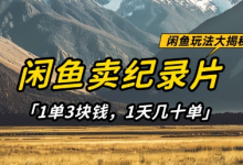 闲鱼卖纪录片1单3块钱，1天几十单，项目稳定有潜力-蜗牛学社