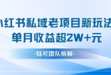小红书私域项目新玩法，单月变现过W+-蜗牛学社