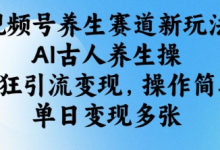 视频号养生赛道新玩法，AI古人养生操，疯狂引流变现，操作简单，单日变现多张-蜗牛学社