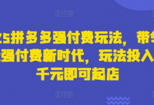 2025拼多多强付费玩法，带领全网走强付费新时代，玩法投入不超千元即可起店-蜗牛学社