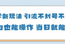 国学新玩法，引流不封号不违规小白也能操作，当日就能变现-蜗牛学社
