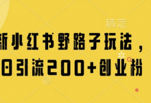 最新小红书野路子玩法，单日引流200+创业粉-蜗牛学社