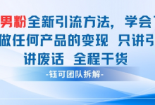 小红书男粉引流 学会了这个变现很容易，不讲废话全程针对男人的打法 全程干货-蜗牛学社