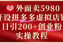 外面卖5980开设拼多多虚拟店铺：单日引流200+创业付费粉实战教程-蜗牛学社