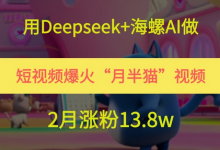 用Deepseek+海螺AI做短视频爆火“月半猫”视频，2月涨粉13.8w-蜗牛学社