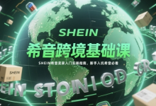 希音跨境基础课，SHEIN希音卖家入门实操指南，新手入坑希音必看-蜗牛学社