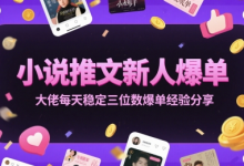 小说推文新人爆单大佬每天稳定三位数爆单经验分享-冒泡网