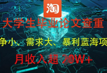 大学生毕业论文查重，暴利蓝海项目，月收入过1W+-蜗牛学社