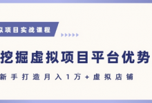 抓住虚拟项目各平台优势，新手轻松月入1W+(给出具体建议)-蜗牛学社