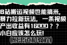 b站掘金计划？搬运视频也能挣拉新的收益，小白应该怎么玩！-蜗牛学社