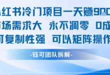 小红书冷门项目一天收益9张，市场需求大，0成本，可复制性强可以矩阵操作-蜗牛学社