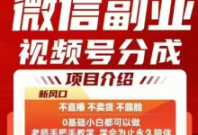 微信副业视频号分成，不直播 不卖货 不露脸，三五分钟即可完成一条作，每日收益几十、几张不等-蜗牛学社