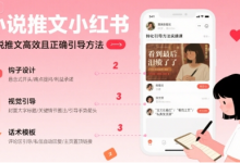 小说推文小红书高转化引导方法实操课，小说推文高效且正确引导方法-蜗牛学社