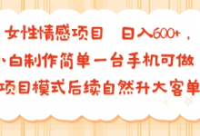 女性情感项目 小白制作简单一台手机可做 项目模式后续自然升大客单 日入6张-冒泡网